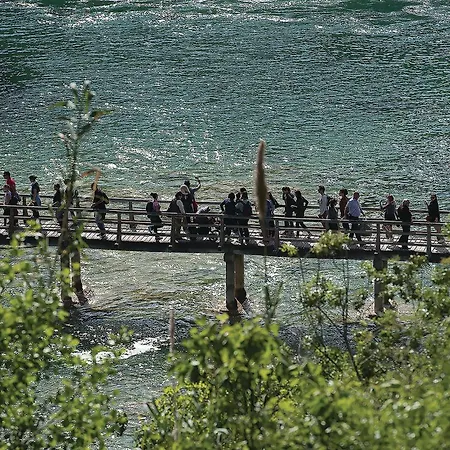 Pet Friendly In Casa vacanze *