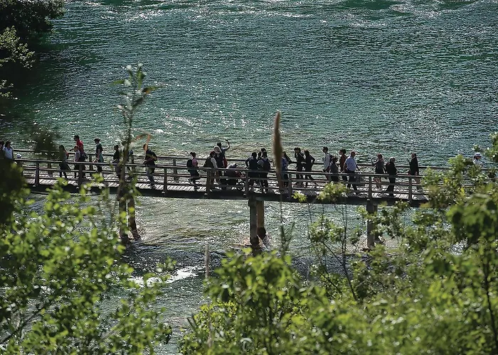 Pet Friendly In Vakantiehuis *