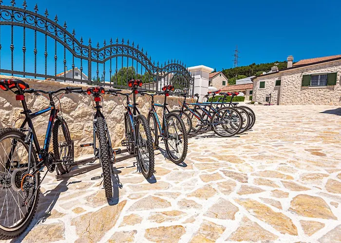 Vakantiehuis Pet Friendly In